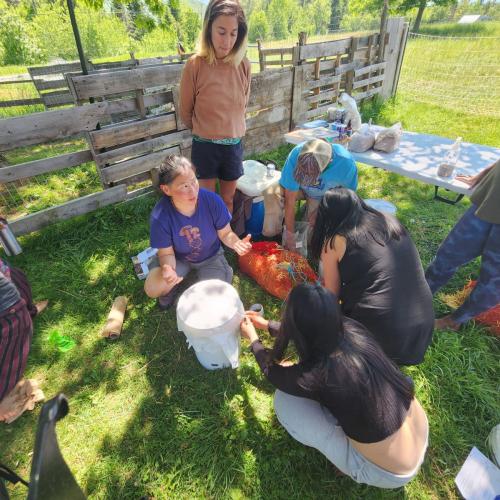 Members of Vermont's Liberation Ecosystem