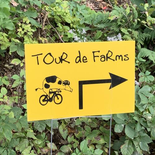 a yellow sign reading Tour de Farms with a cow riding a bicycle is placed in the greenery along a Vermont roadside