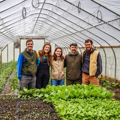 Farm Upstream farmers Jake, Cory, Tucker, Spencer, and Jacqueline in their high tunnel full of spring greens