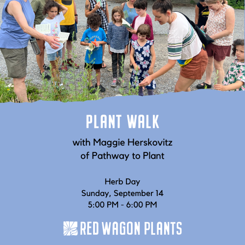 pathway to plant walk