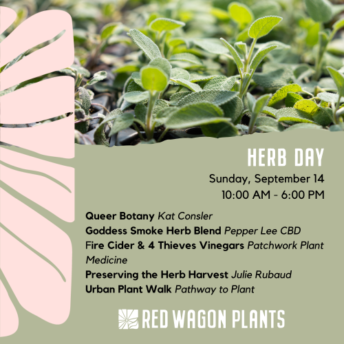 herb day 2025