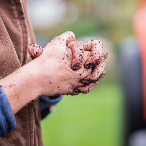 A farmers soil-covered, clasped hands