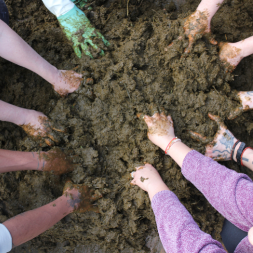 Hands in manure!