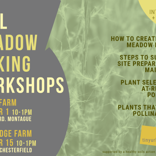 Image title card: Fall Meadow Making Workshops