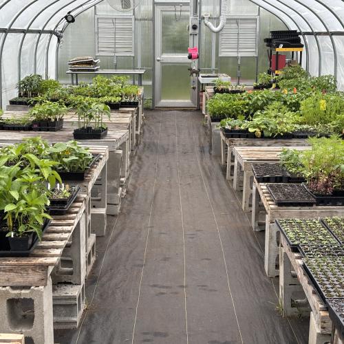 Greenhouse at Landry Park