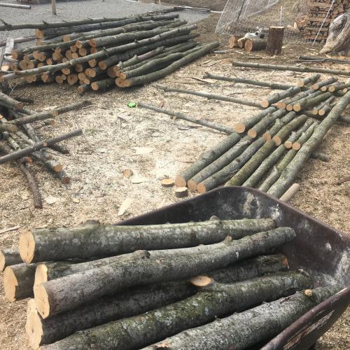 Some of the many wood products and purposes coppicing can provide