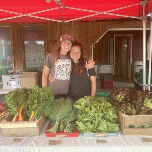 CSA pick-up at Bread & Butter Farm