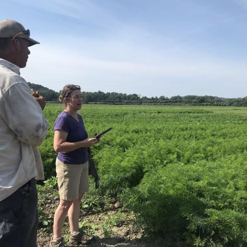 Jericho Settlers Field