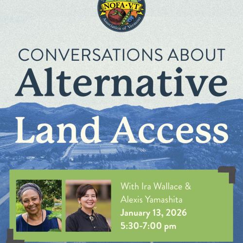 A graphic depicting blue mountains with text above reading "Conversations About Alternative Land Access" and text in an green box listing the event details