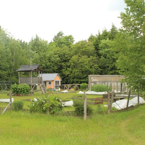 a garden with greenhouse and treehouse