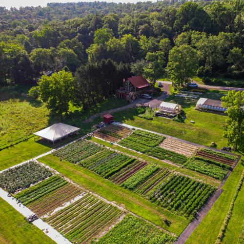 LEAF Home Farm (7 acres, 1.5 acres in production)