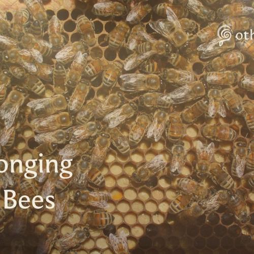 Be Longing with Bees