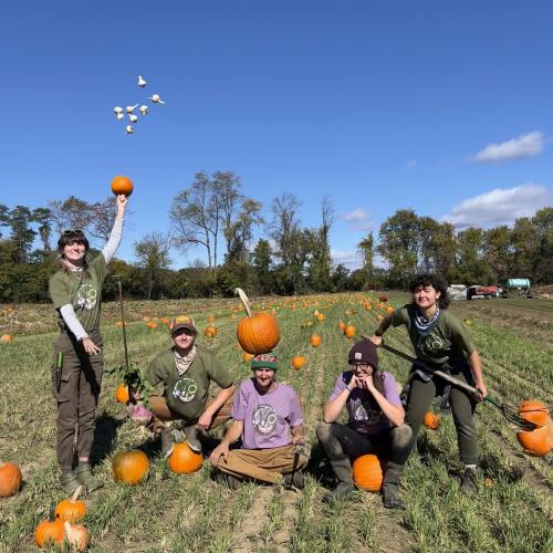 Farm crew with pumpkins