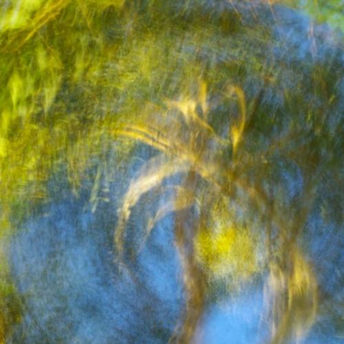 blurry image of trees in reflecting in water