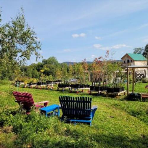 View of Elmore Roots Organic Tree Nursery