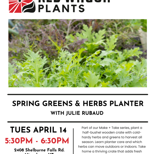 Make + Take: Spring Greens & Herbs Planter with Julie Rubaud