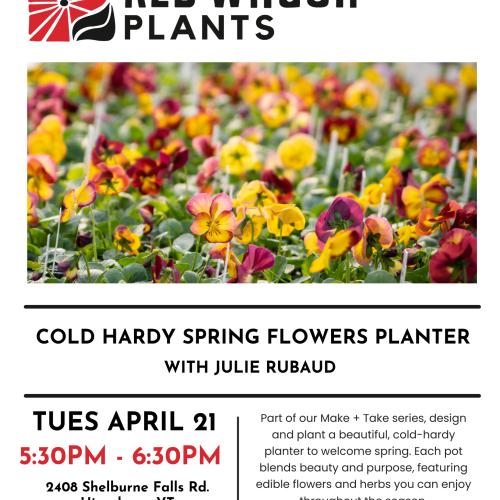 M + T Cold Hardy Spring Flowers Planter with Julie Rubaud
