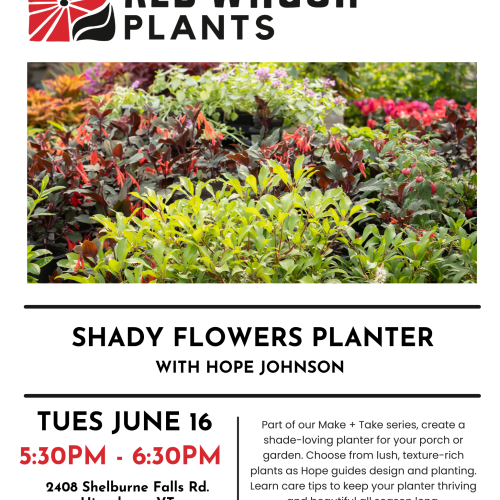 Make + Take: Shady Flowers Planter with Hope Johnson