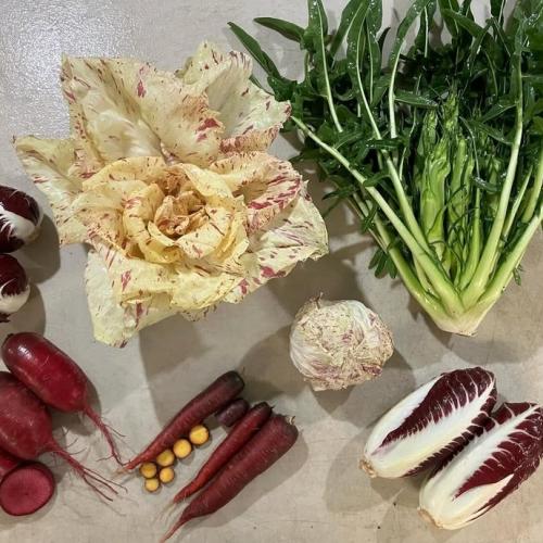 Tamarack Hollow fall crops