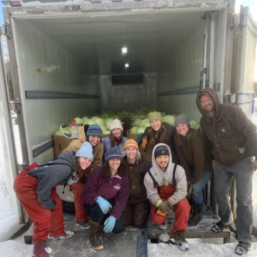 The crew with the last of the cabbage crop headed to processor for organic kimchi