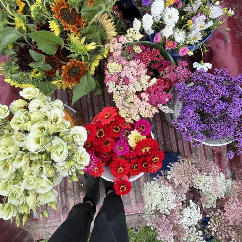 flower buckets in truck bed