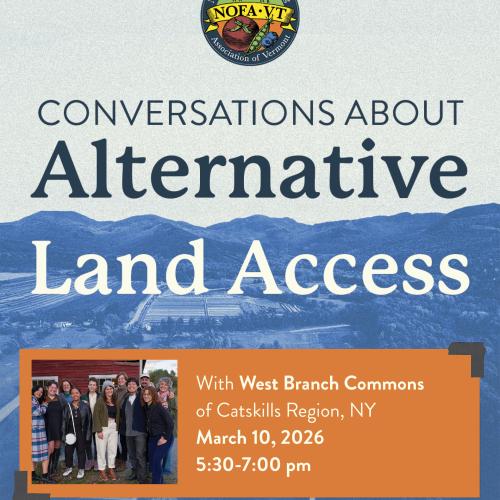 A graphic depicting blue mountains with text above reading "Conversations About Alternative Land Access" and text in an orange box listing the event details