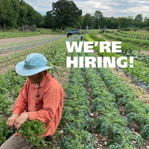 We are hiring. Joshua in farm field