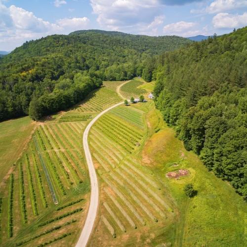 Sunshine Valley Berry Farm