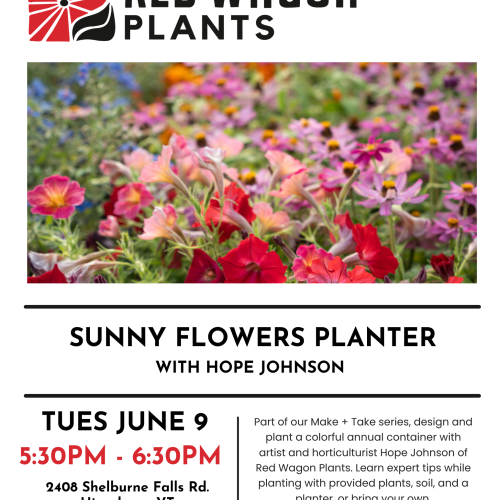 Make + Take: Sunny Flowers Planter with Hope Johnson