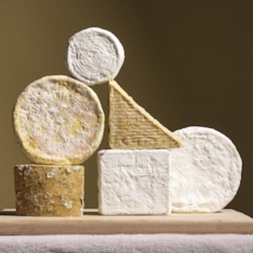 A wooden cutting board featuring a variety of wheels, wedges, and squares of artisanal cheeses