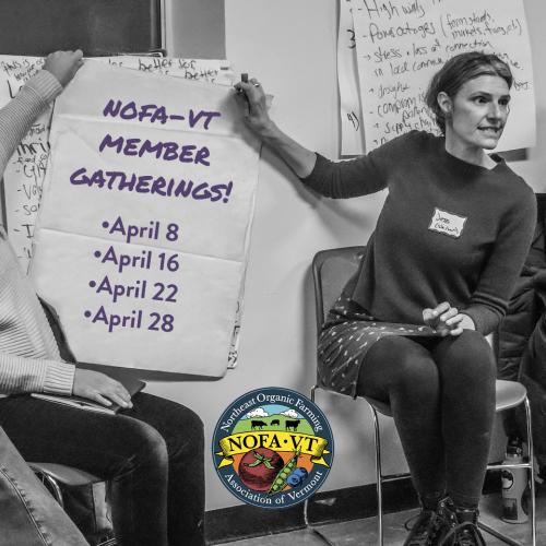 Black & white image of NOFA-VT Grassroots Organizer Jess Hays Lucas holds a large paper from a flip chart to the wall with a graphic overlay that reads "NOFA-VT Member Gatherings!" and the dates of each gathering in April. There is also a NOFA-VT logo centered at the bottom.