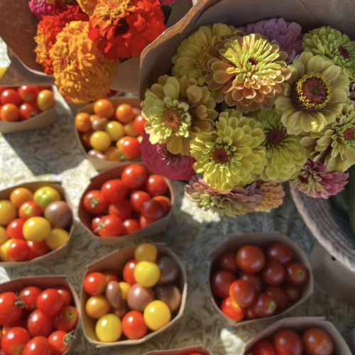 tomatoes and flowers