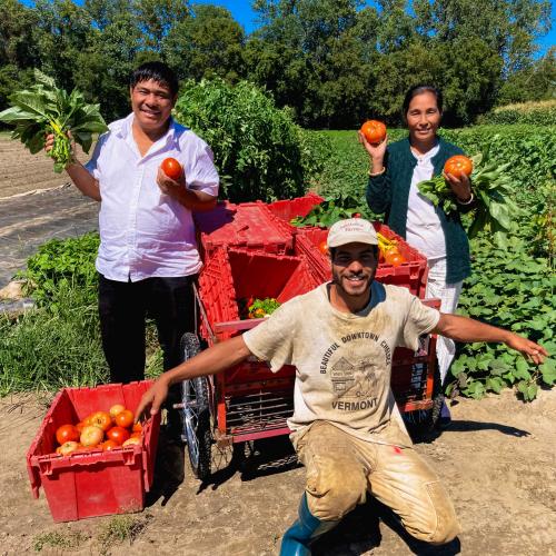 Three farmers from The People's Farm Stand smile while holding veggies harvested at Pine Island Community Farm