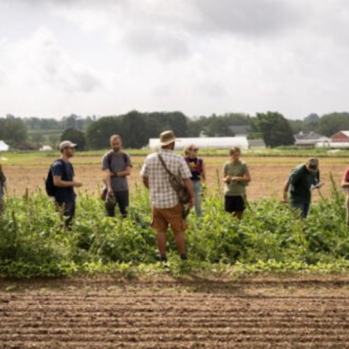 Farmers standing in a large oval in a farm field taking notes and observing, as if participating in a workshop