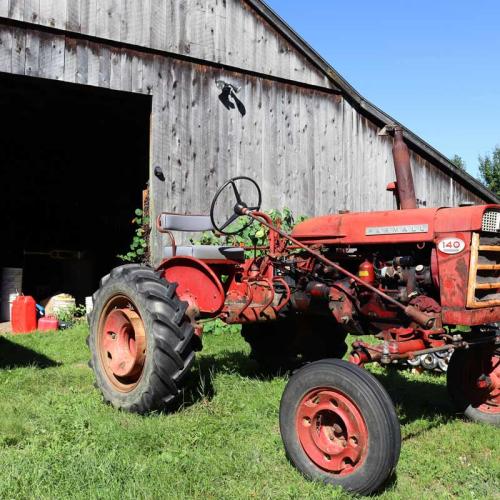 A red Farmall tractor in front of a barn at Old Road Farm 