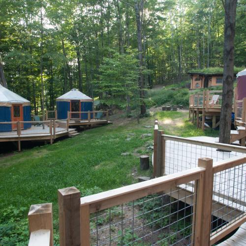 Knoll Farm Yurt Village 