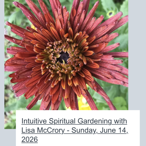 intuitive spiritual gardening