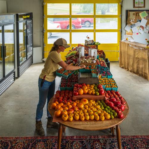hof farm stand