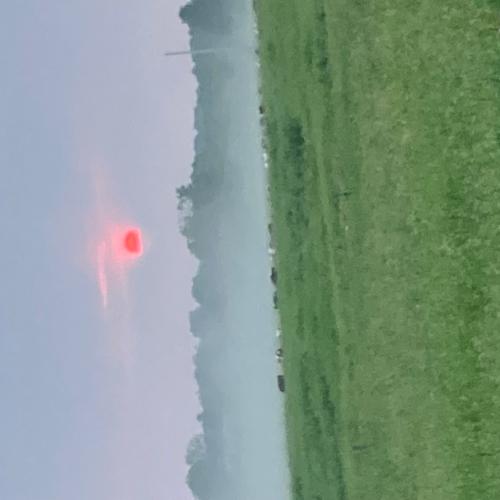 misty view