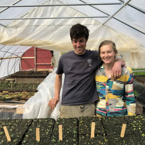 Gus and Mollie of Glinnis Hill Farm stand smiling in their high tunnel surrounded by trays of seedlings