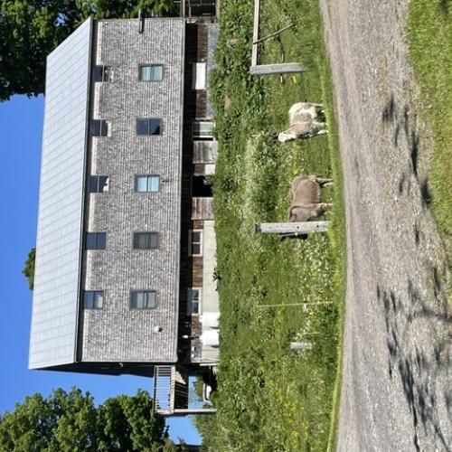 Udderjoy barn apartment