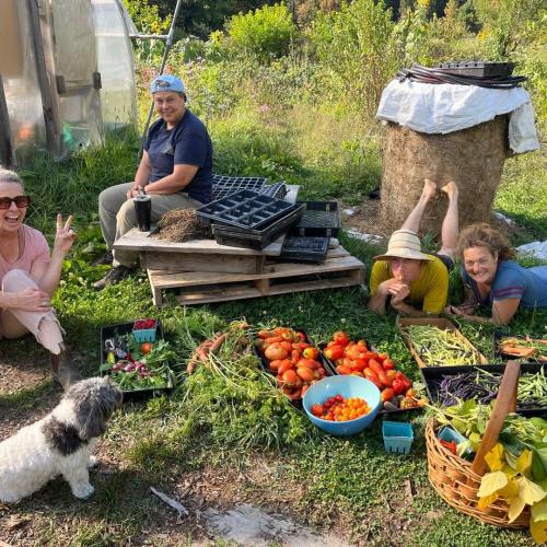 Farmers from the Living Tree Alliance are seen in a circle sitting or laying around a colorful array of freshly harvested produce while smiling. There is also a dog in the photo and one of the farmers pictured is holding up a peace sign.
