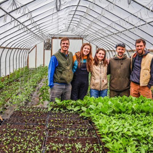 The farmers from the Farm Upstream are pictured in their high tunnel surrounded by lush veggie and herb seedlings