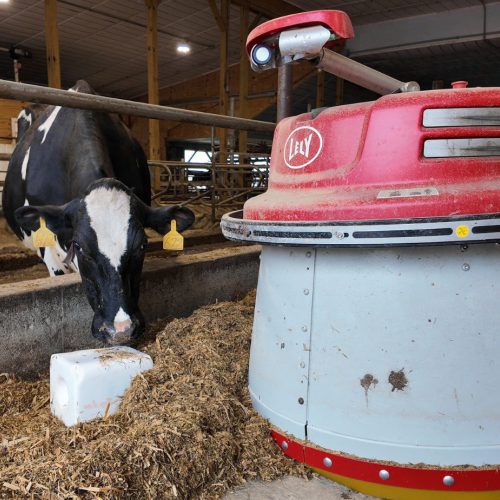 COW AND FEED PUSHER