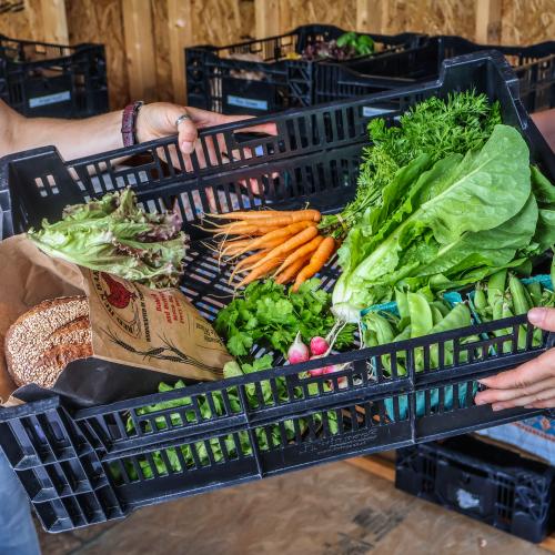 a farmer passes a black bin filled with a colorful array of produce to a CSA member