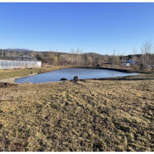 Farm Pond