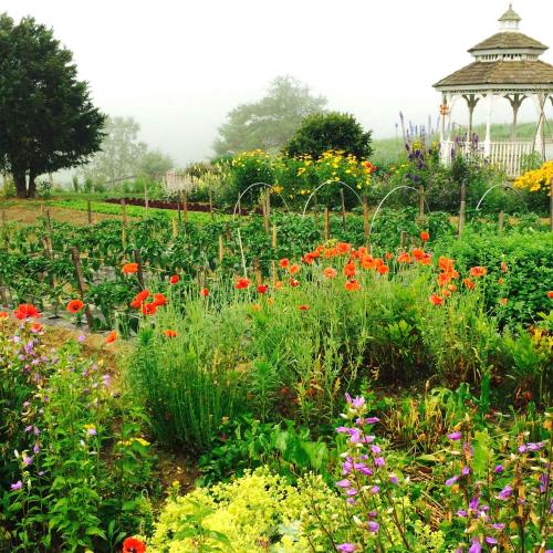 Karme Choling Garden