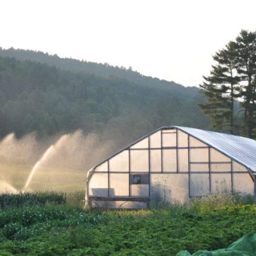farmer to farmer planning