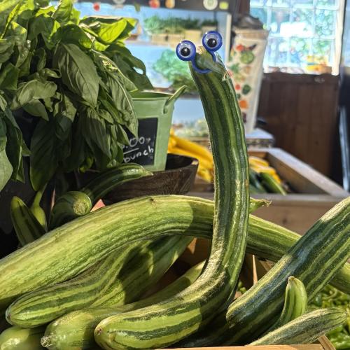 cucumber with googly eyes