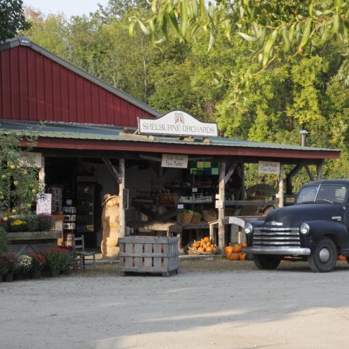 A photo of our orchard store in the apple season with mums, pumpkins and a 49 chevy out front for decoration. 